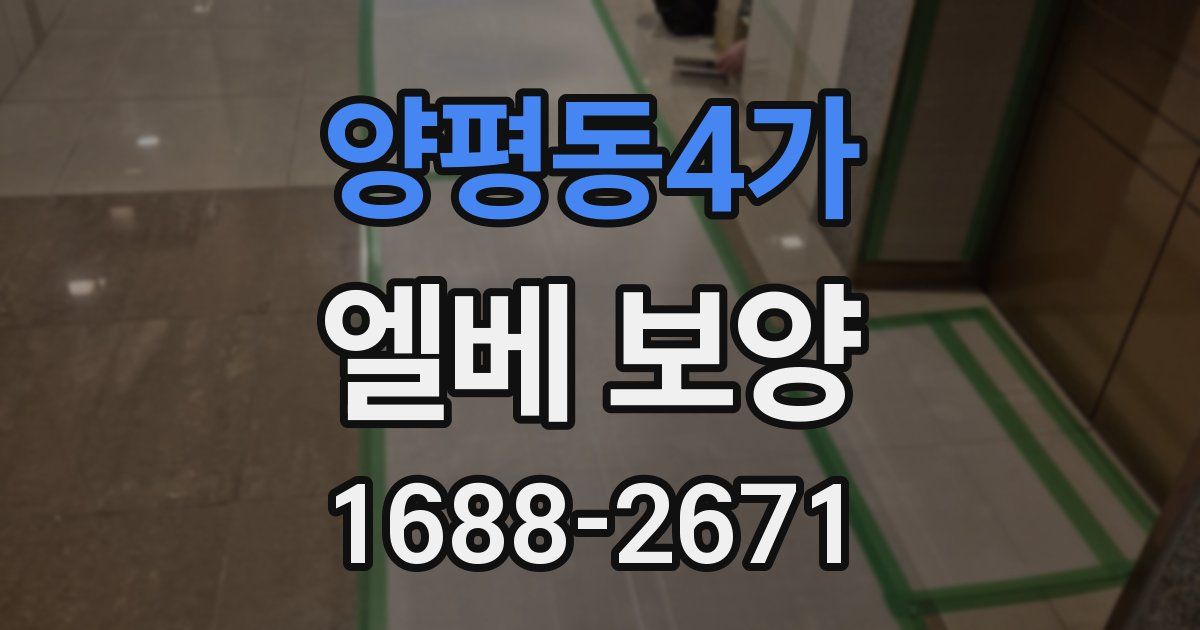 양평동4가 엘베 보양
