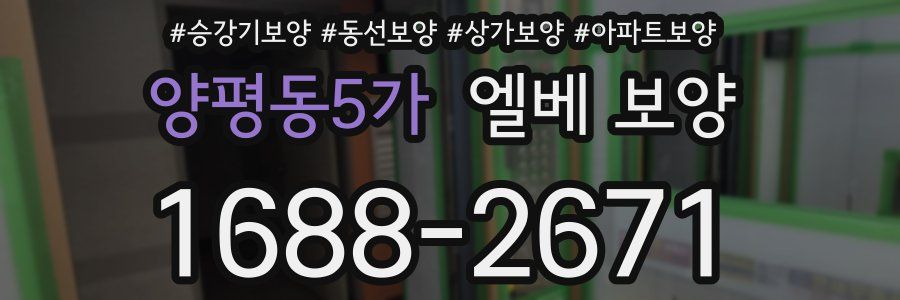 양평동5가 엘베 보양