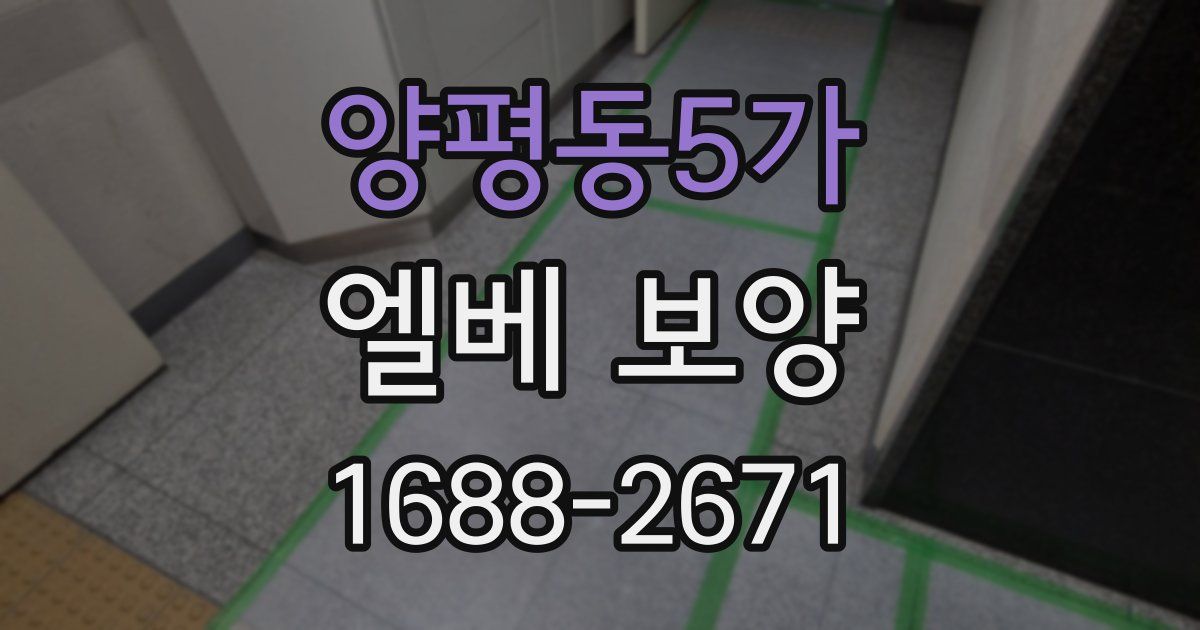 양평동5가 엘베 보양