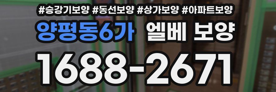 양평동6가 엘베 보양