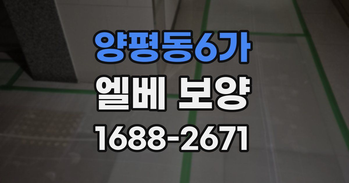 양평동6가 엘베 보양