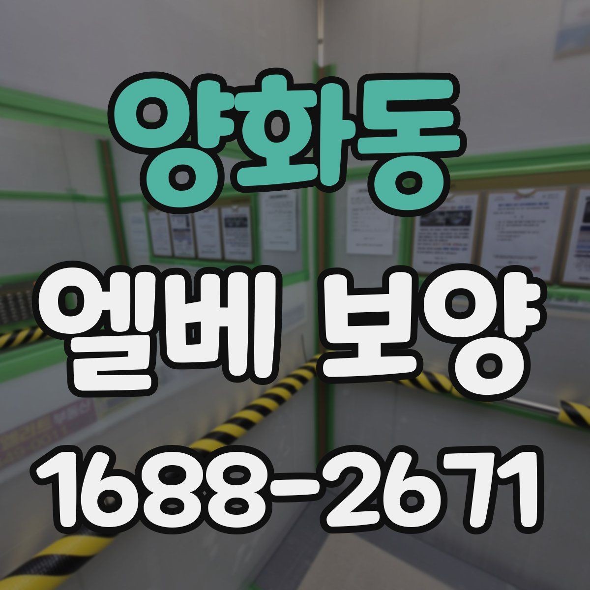 양화동 엘베 보양 자재 흔들림을 줄이는 고정 방식 정리