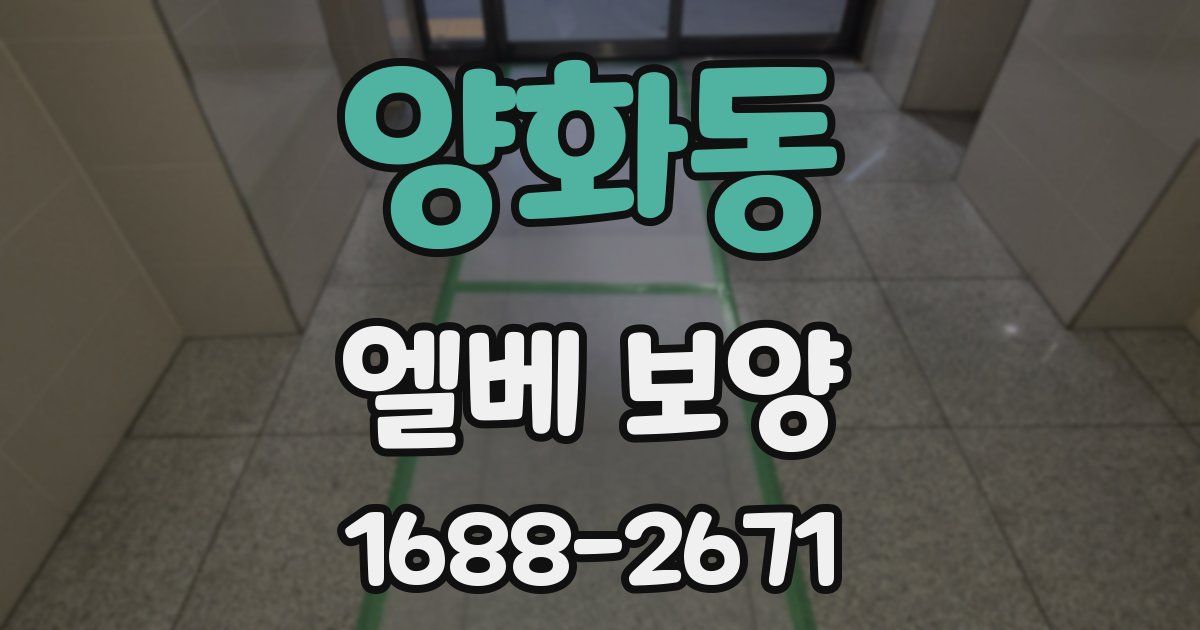 양화동 엘베 보양