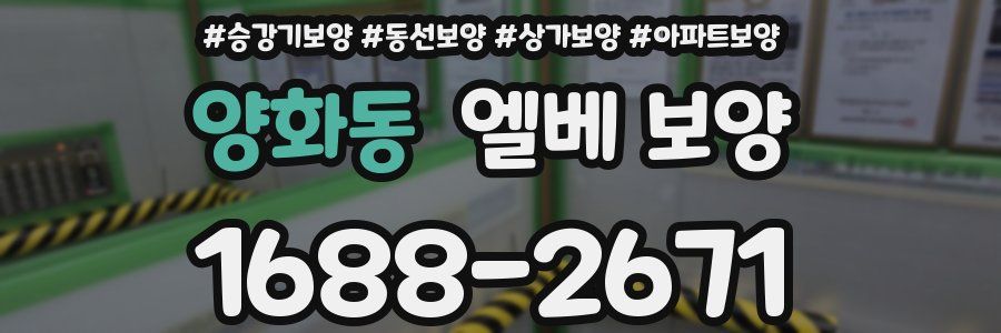 양화동 엘베 보양