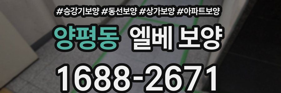 양평동 엘베 보양