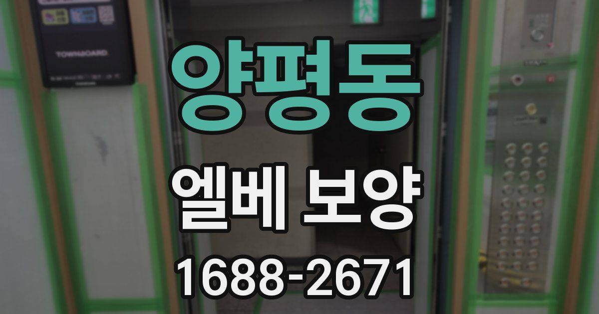 양평동 엘베 보양
