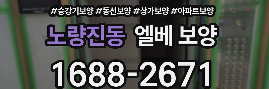 노량진동 엘베 보양