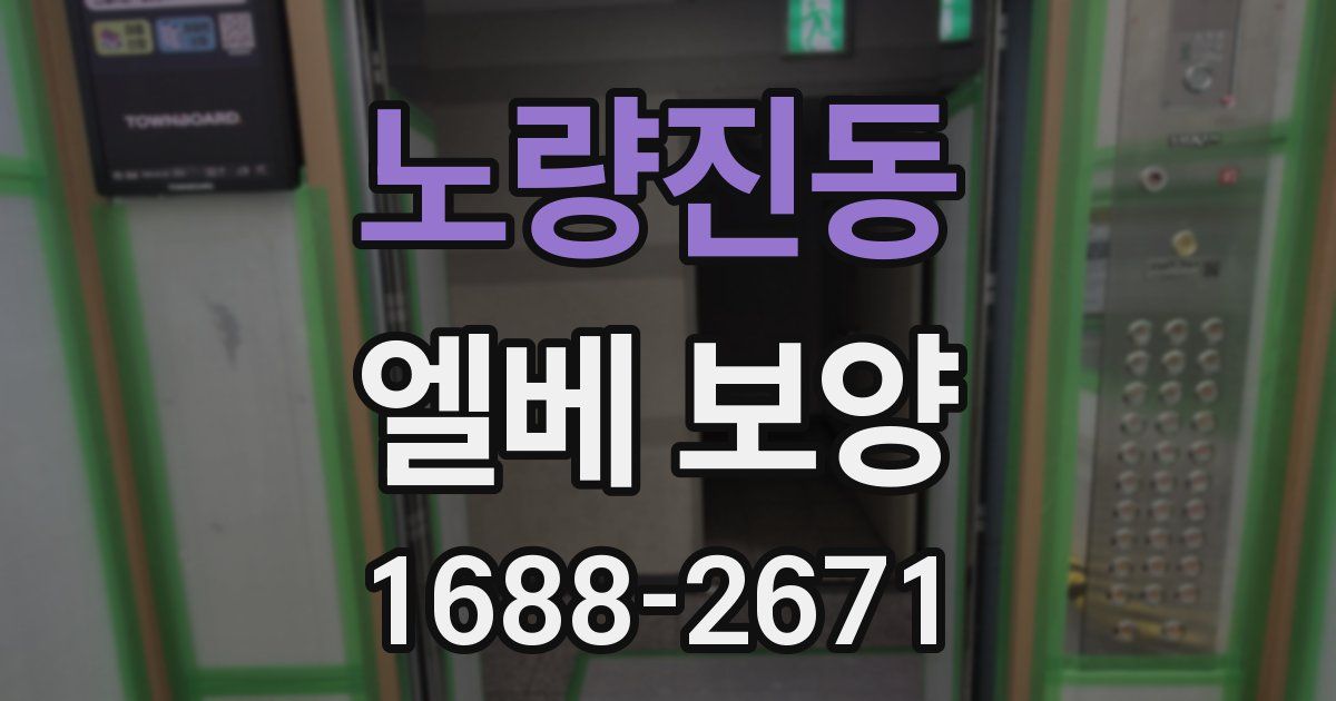 노량진동 엘베 보양