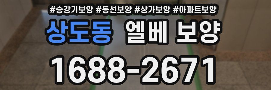 상도동 엘베 보양