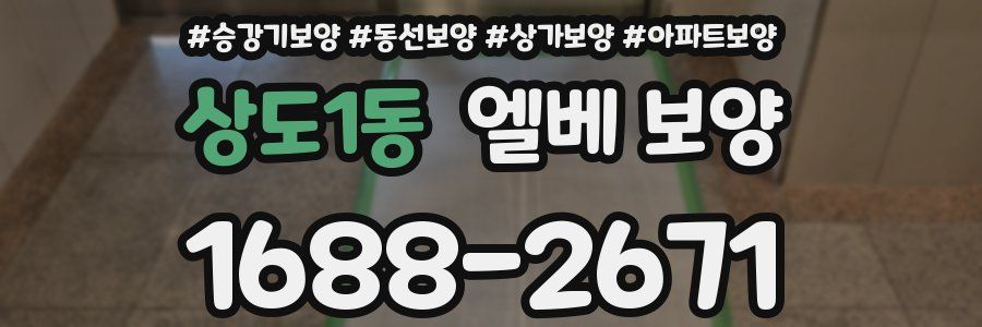 상도1동 엘베 보양