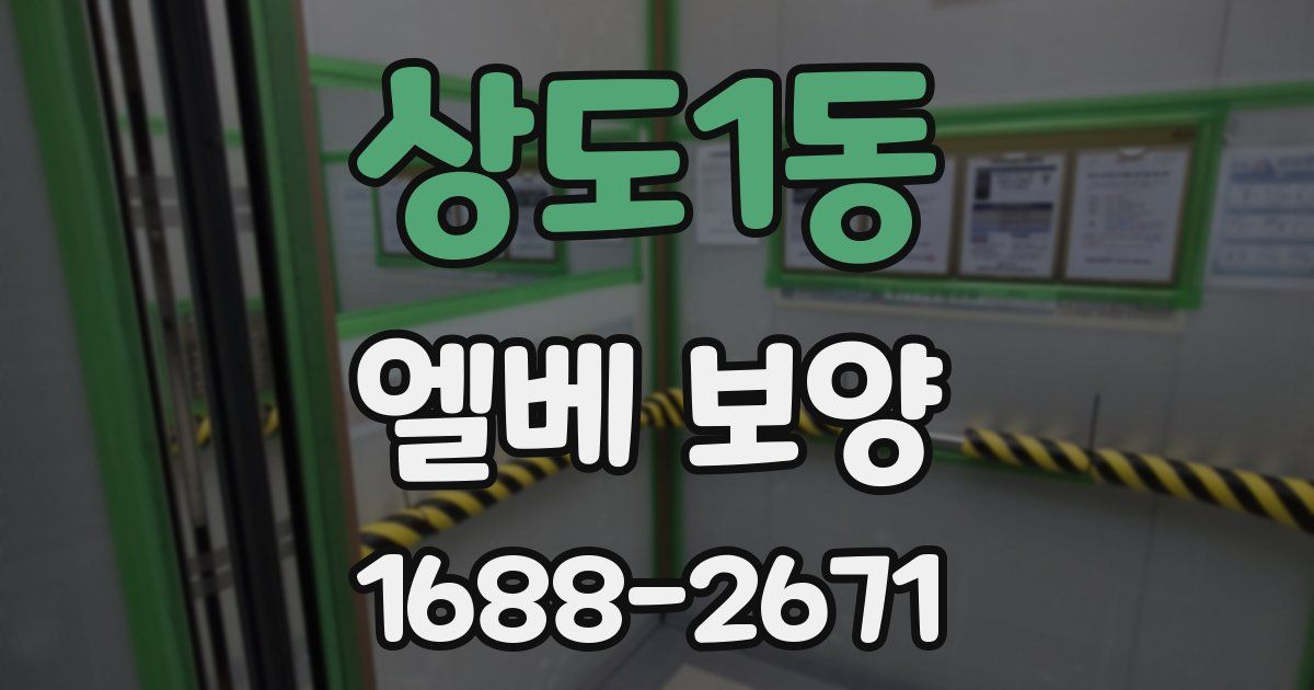 상도1동 엘베 보양