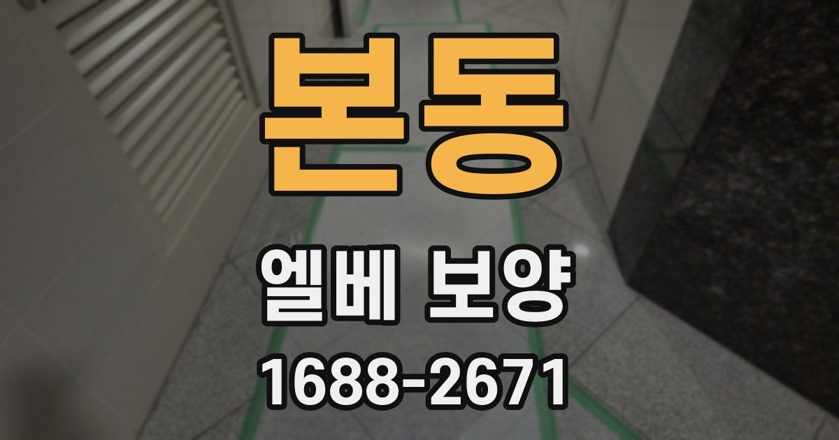 본동 엘베 보양