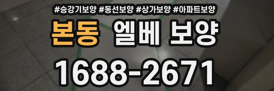 본동 엘베 보양