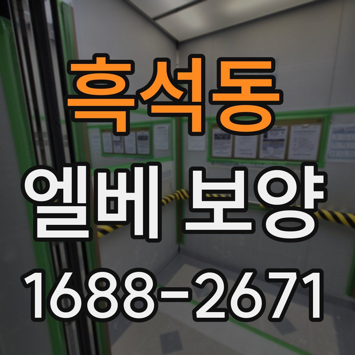 흑석동 엘베 보양