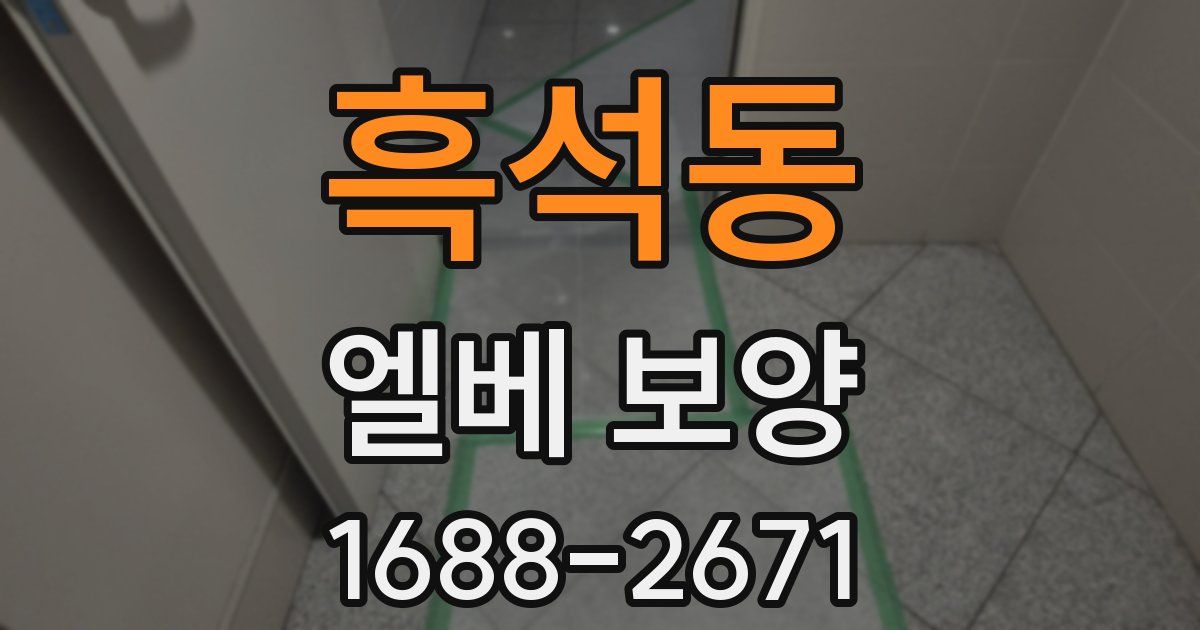 흑석동 엘베 보양