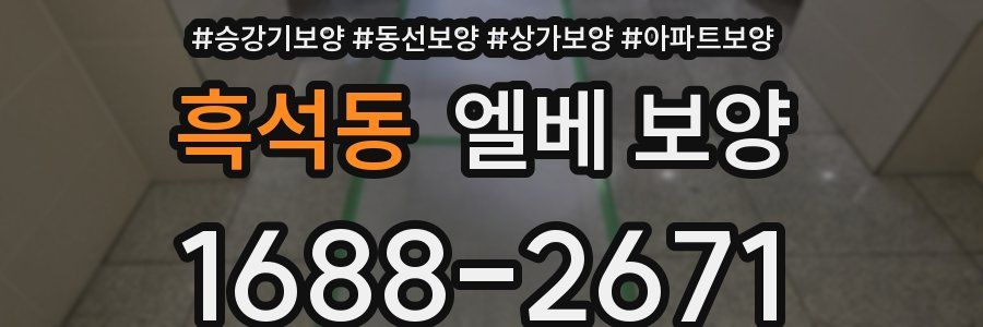 흑석동 엘베 보양