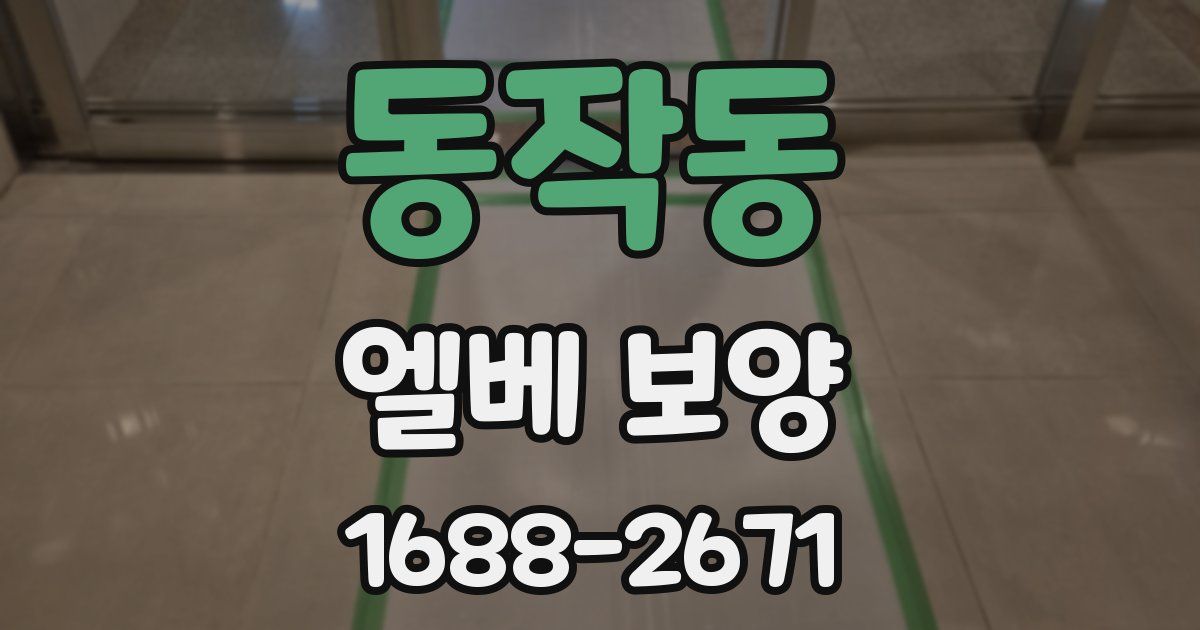동작동 엘베 보양