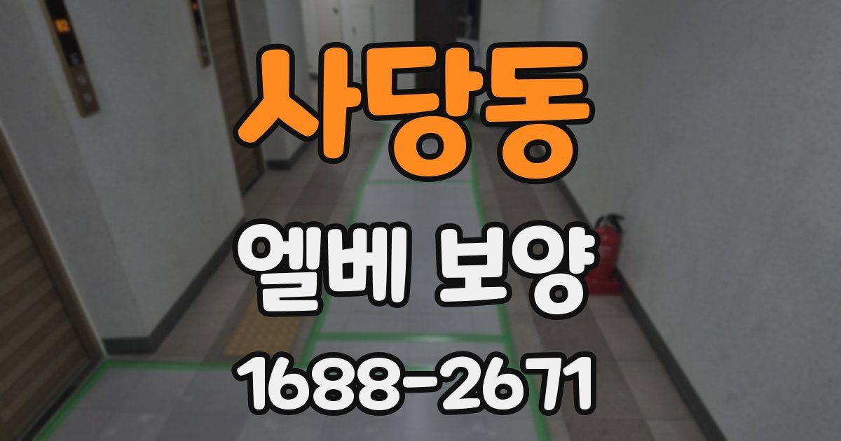 사당동 엘베 보양