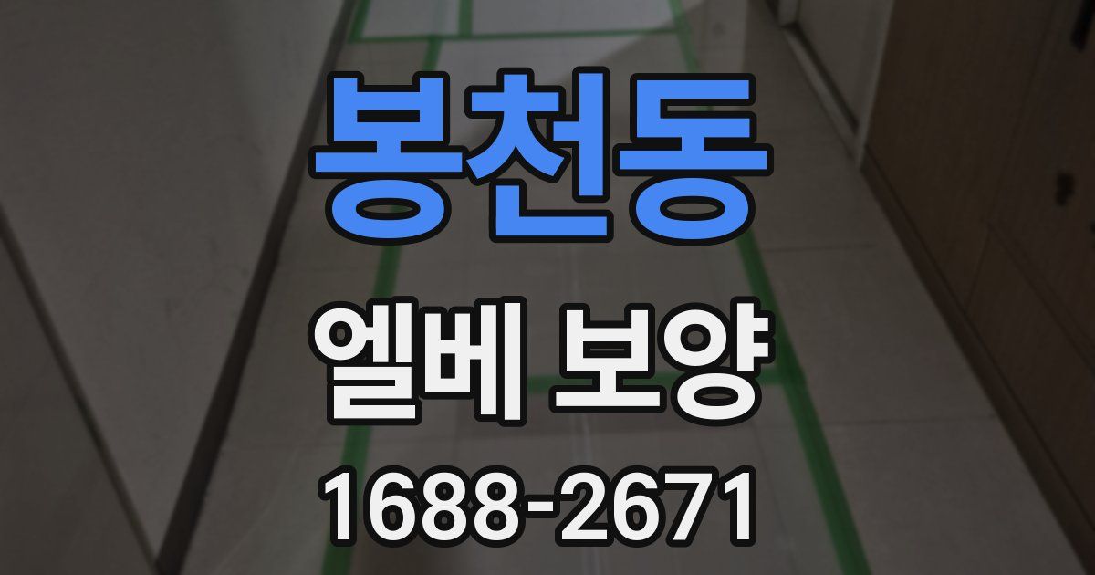 봉천동 엘베 보양