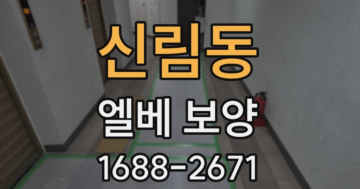 신림동 엘베 보양