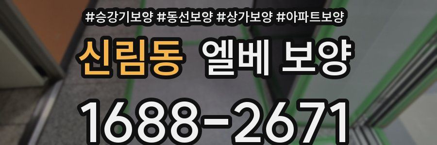 신림동 엘베 보양