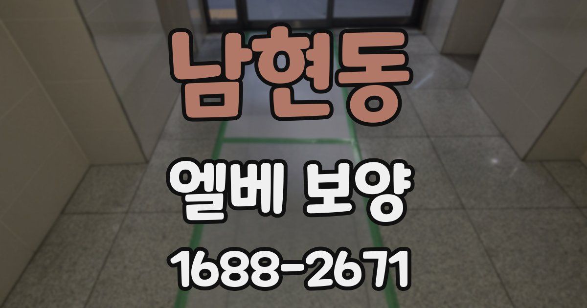 남현동 엘베 보양