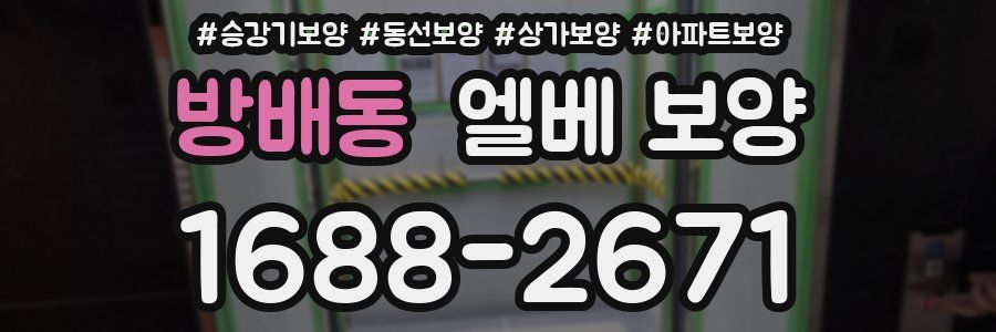 방배동 엘베 보양