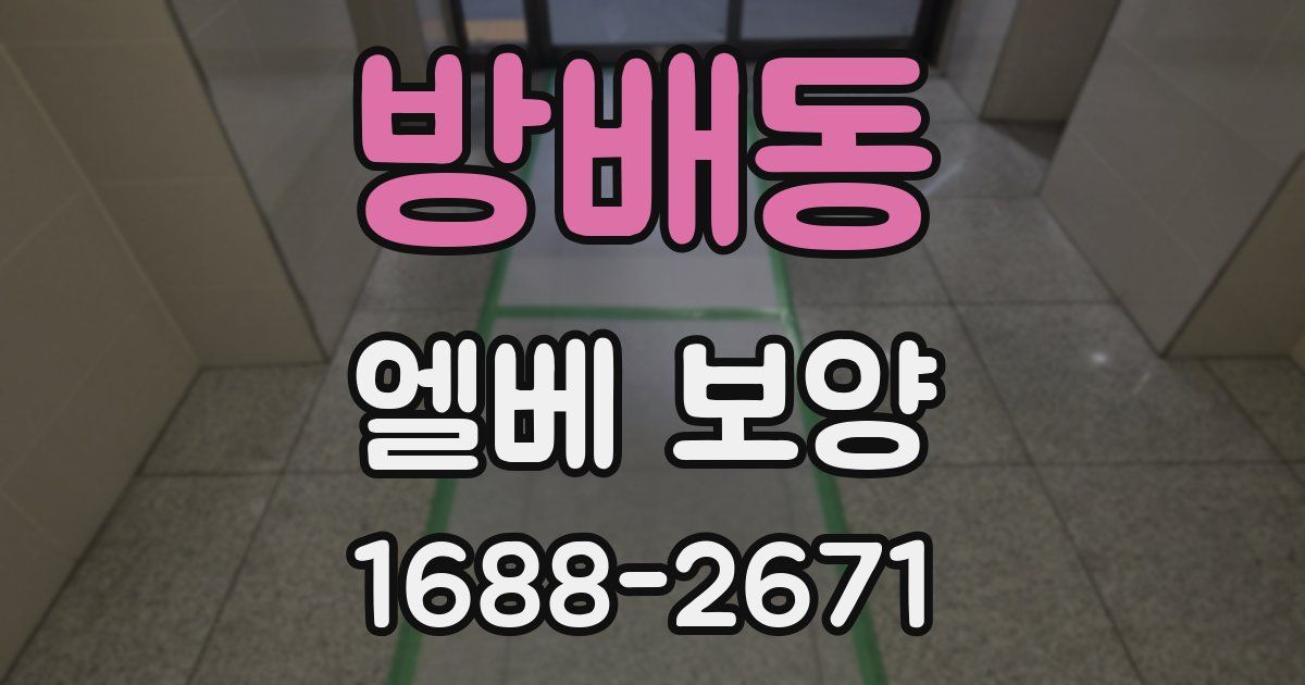 방배동 엘베 보양