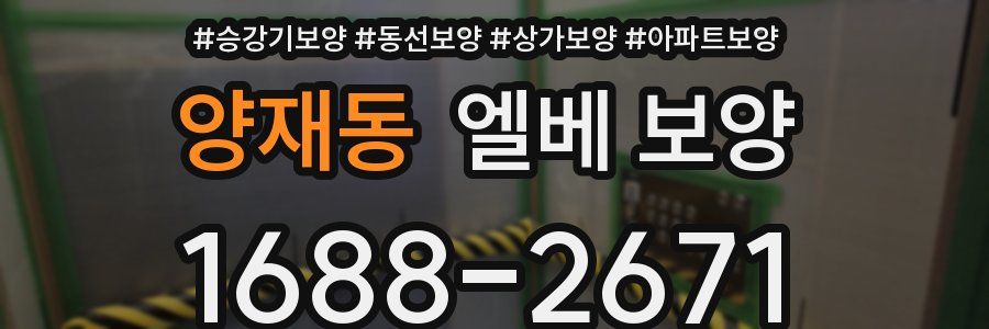 양재동 엘베 보양