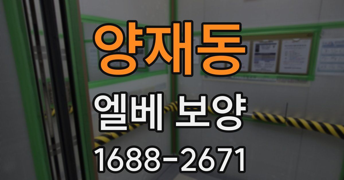 양재동 엘베 보양