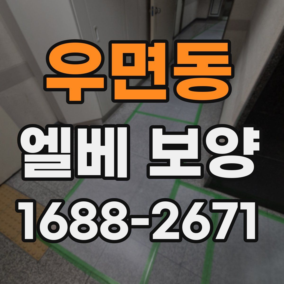 우면동 엘베 보양