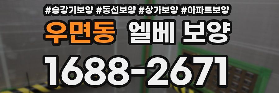 우면동 엘베 보양