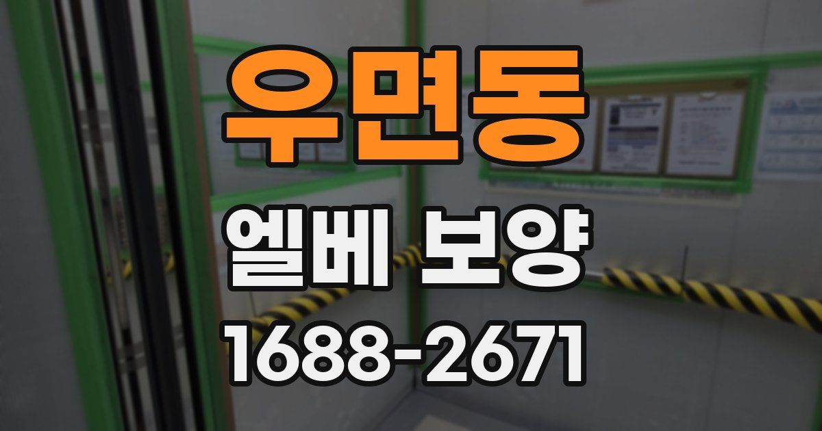 우면동 엘베 보양
