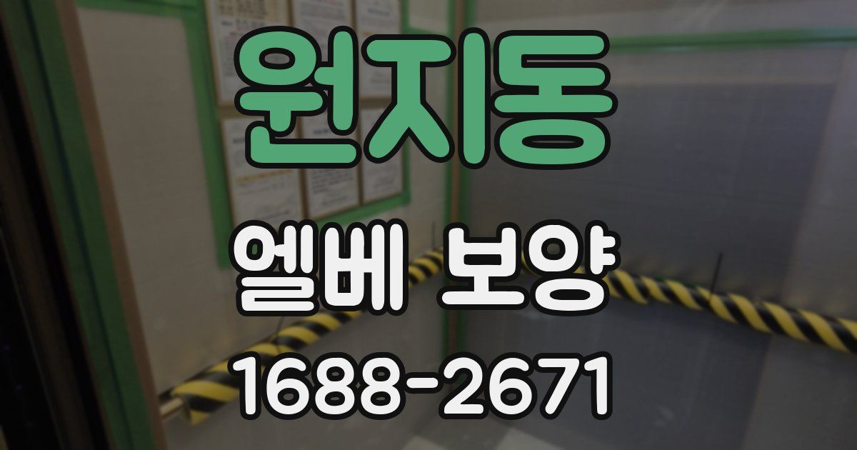 원지동 엘베 보양