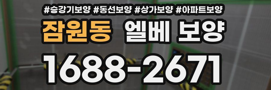 잠원동 엘베 보양