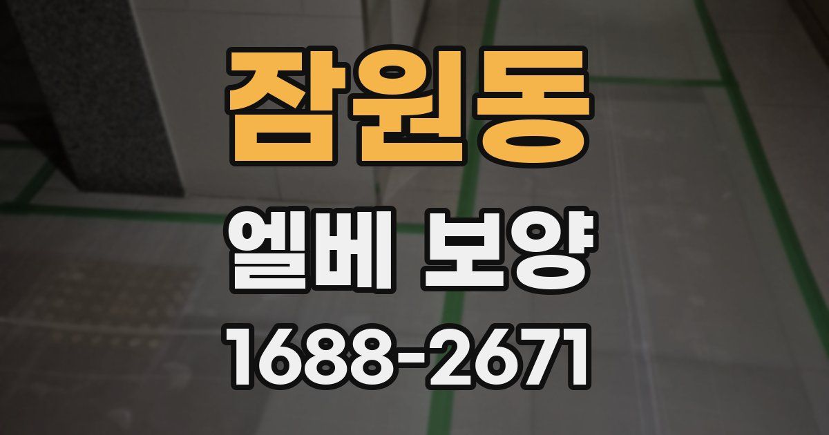 잠원동 엘베 보양