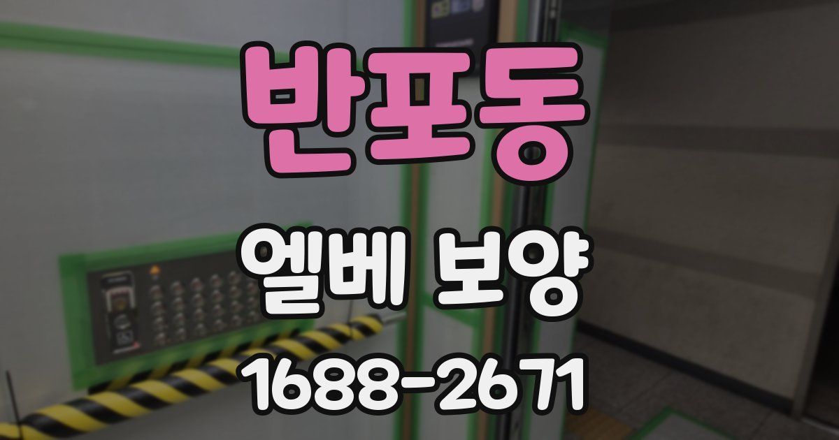 반포동 엘베 보양