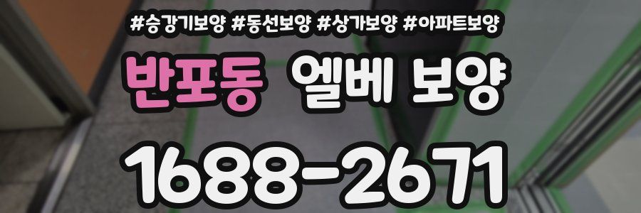 반포동 엘베 보양