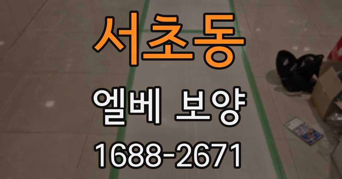 서초동 엘베 보양