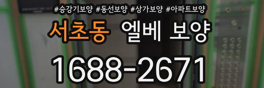 서초동 엘베 보양