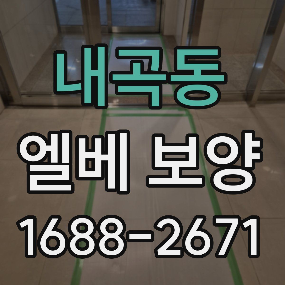내곡동 엘베 보양 보양 사진 자료를 남기는 이유