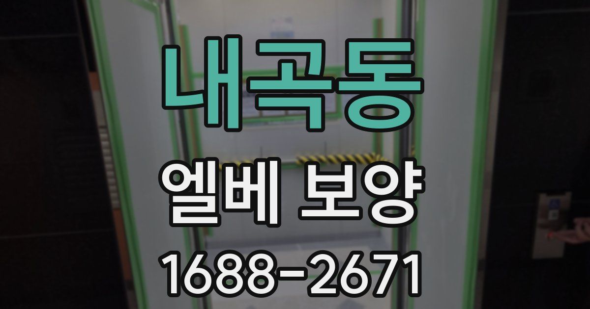 내곡동 엘베 보양