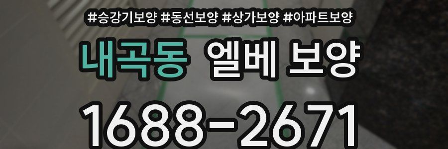 내곡동 엘베 보양