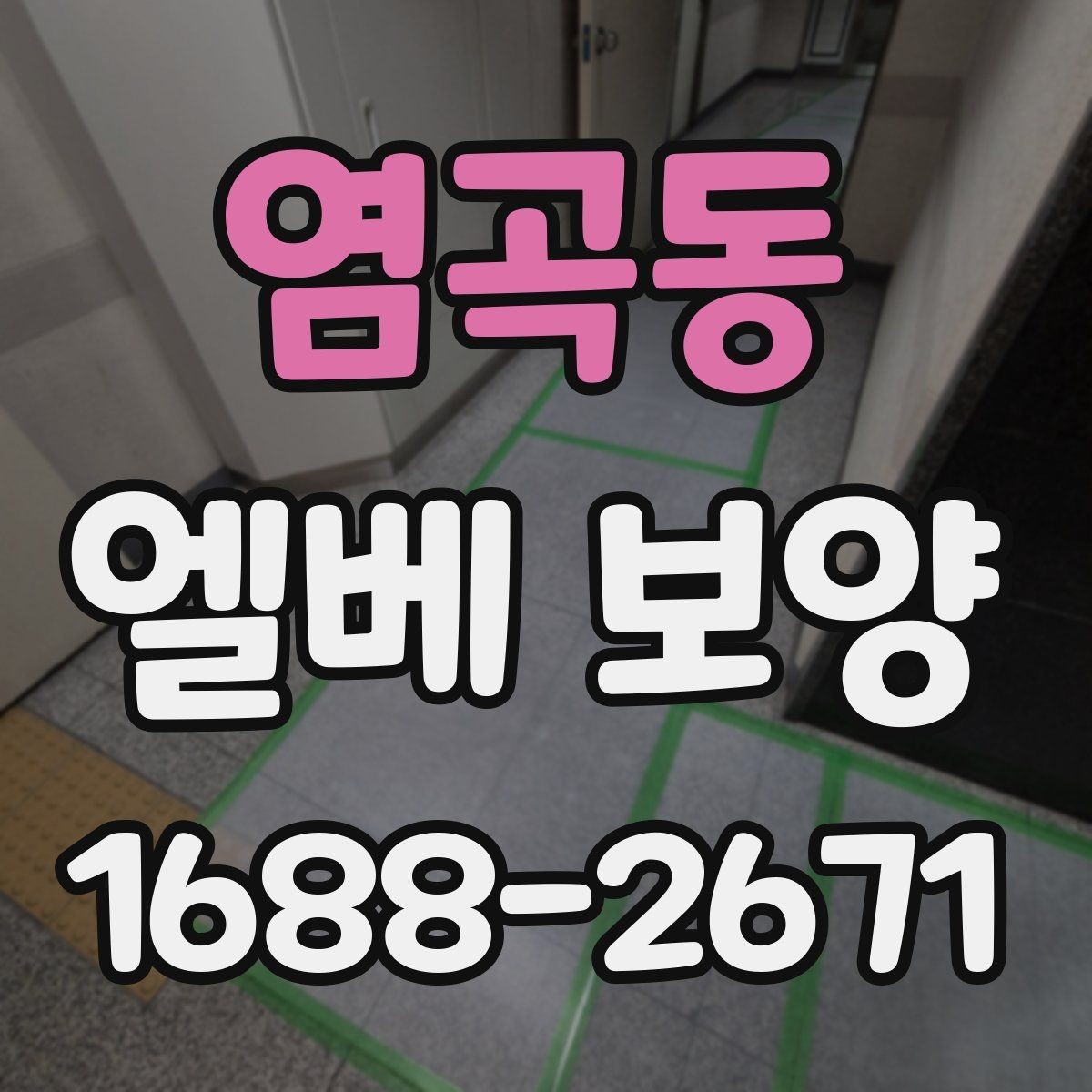 염곡동 엘베 보양 보양 사진 기록이 필요한 이유