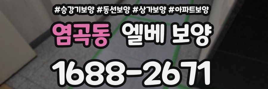 염곡동 엘베 보양