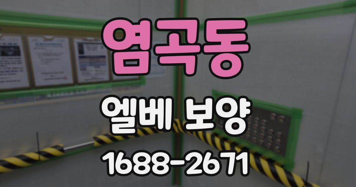 염곡동 엘베 보양