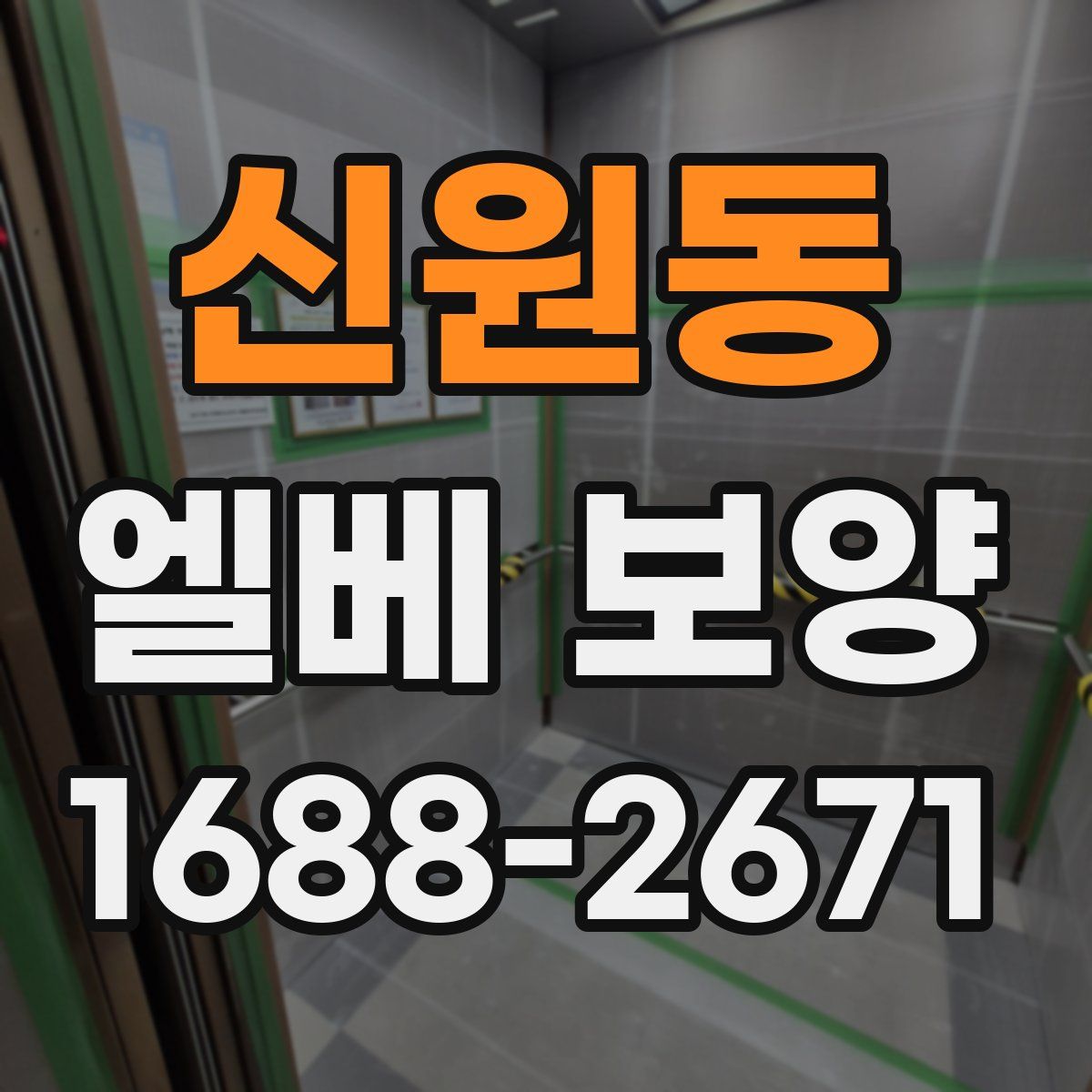 신원동 엘베 보양