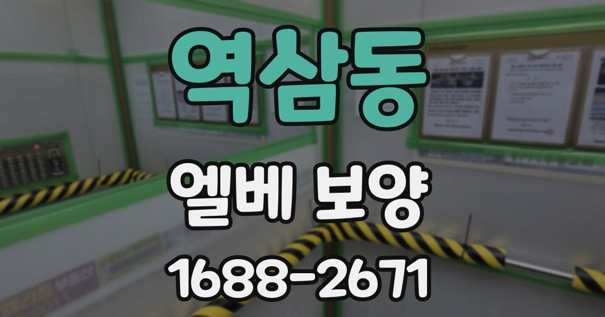 역삼동 엘베 보양