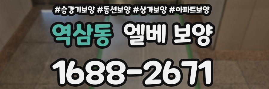 역삼동 엘베 보양