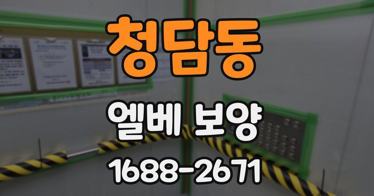 청담동 엘베 보양